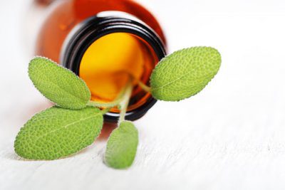 Pourquoi y a-t-il des huiles essentielles dans les plantes? - Académie de  massage & Orthothérapie