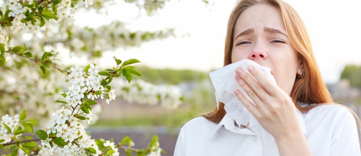 La saison des allergies